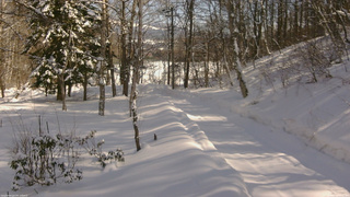 長野県菅平高原 ゆたか山荘 駐車場奥 2026/02/13 12:45