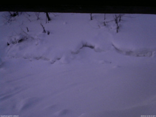 長野県菅平高原 ゆたか山荘 東側(坂下) 2026/02/14 06:15