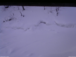 長野県菅平高原 ゆたか山荘 東側(坂下) 2026/02/14 06:30