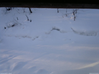 長野県菅平高原 ゆたか山荘 東側(坂下) 2026/02/14 07:00