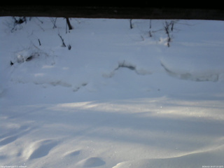 長野県菅平高原 ゆたか山荘 東側(坂下) 2026/02/14 07:15