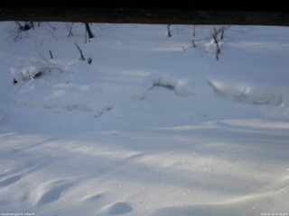 長野県菅平高原 ゆたか山荘 東側(坂下) 2026/02/14 07:30