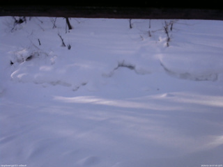 長野県菅平高原 ゆたか山荘 東側(坂下) 2026/02/14 07:45