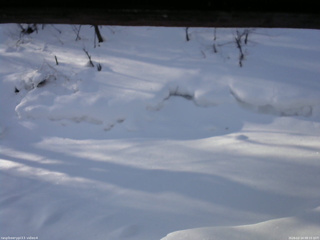 長野県菅平高原 ゆたか山荘 東側(坂下) 2026/02/14 08:15