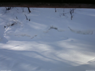 長野県菅平高原 ゆたか山荘 東側(坂下) 2026/02/14 08:30