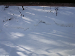 長野県菅平高原 ゆたか山荘 東側(坂下) 2026/02/14 08:45