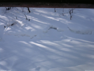 長野県菅平高原 ゆたか山荘 東側(坂下) 2026/02/14 09:00