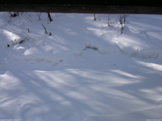 長野県菅平高原 ゆたか山荘 東側(坂下) 2026/02/14 09:15