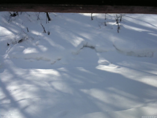 長野県菅平高原 ゆたか山荘 東側(坂下) 2026/02/14 09:30