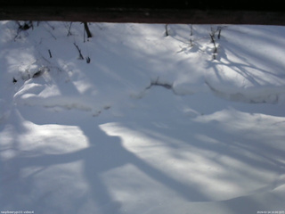 長野県菅平高原 ゆたか山荘 東側(坂下) 2026/02/14 10:00