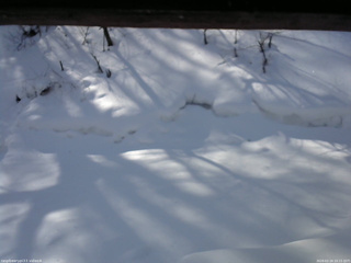 長野県菅平高原 ゆたか山荘 東側(坂下) 2026/02/14 10:15