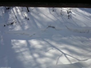 長野県菅平高原 ゆたか山荘 東側(坂下) 2026/02/14 10:30