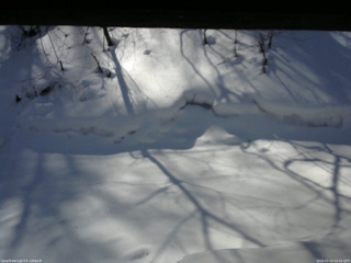 長野県菅平高原 ゆたか山荘 東側(坂下) 2026/02/14 10:45