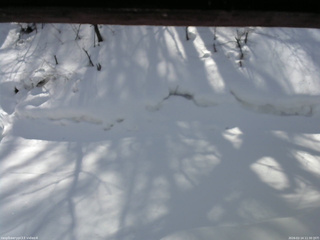 長野県菅平高原 ゆたか山荘 東側(坂下) 2026/02/14 11:30