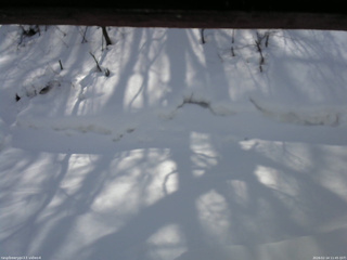 長野県菅平高原 ゆたか山荘 東側(坂下) 2026/02/14 11:45