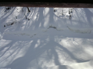 長野県菅平高原 ゆたか山荘 東側(坂下) 2026/02/14 12:00