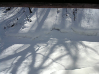 長野県菅平高原 ゆたか山荘 東側(坂下) 2026/02/14 12:30