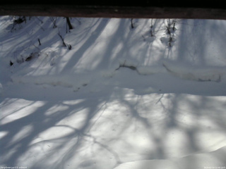 長野県菅平高原 ゆたか山荘 東側(坂下) 2026/02/14 12:45