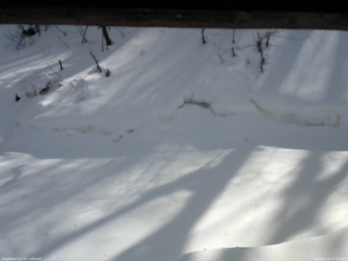 長野県菅平高原 ゆたか山荘 東側(坂下) 2026/02/14 13:30