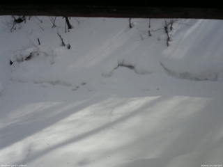 長野県菅平高原 ゆたか山荘 東側(坂下) 2026/02/14 14:00