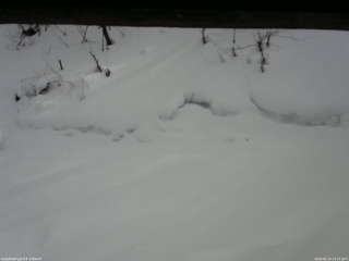 長野県菅平高原 ゆたか山荘 東側(坂下) 2026/02/14 14:15