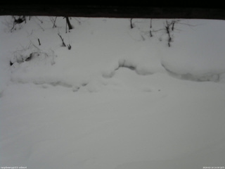 長野県菅平高原 ゆたか山荘 東側(坂下) 2026/02/14 14:30