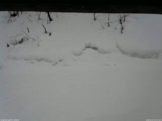 長野県菅平高原 ゆたか山荘 東側(坂下) 2026/02/14 15:15