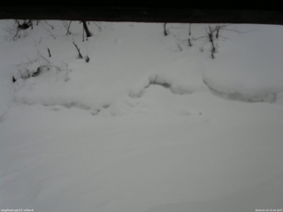 長野県菅平高原 ゆたか山荘 東側(坂下) 2026/02/14 15:45