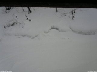 長野県菅平高原 ゆたか山荘 東側(坂下) 2026/02/14 16:00