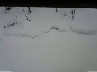 長野県菅平高原 ゆたか山荘 東側(坂下) 2026/02/14 16:30