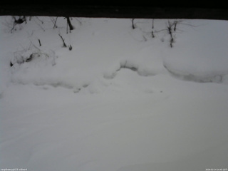 長野県菅平高原 ゆたか山荘 東側(坂下) 2026/02/14 16:45