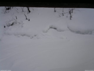 長野県菅平高原 ゆたか山荘 東側(坂下) 2026/02/14 17:00