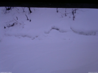 長野県菅平高原 ゆたか山荘 東側(坂下) 2026/02/14 17:30