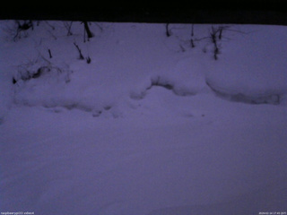 長野県菅平高原 ゆたか山荘 東側(坂下) 2026/02/14 17:45