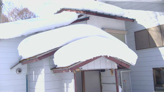 長野県菅平高原 ゆたか山荘 ゆたか山荘 2026/02/14 13:00