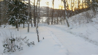 長野県菅平高原 ゆたか山荘 駐車場奥 2026/02/14 06:45
