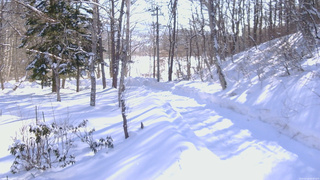 長野県菅平高原 ゆたか山荘 駐車場奥 2026/02/14 09:00
