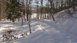 長野県菅平高原 ゆたか山荘 駐車場奥 2026/02/14 09:30