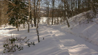 長野県菅平高原 ゆたか山荘 駐車場奥 2026/02/14 11:15