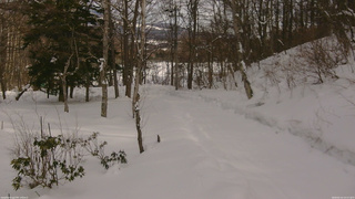 長野県菅平高原 ゆたか山荘 駐車場奥 2026/02/14 14:15