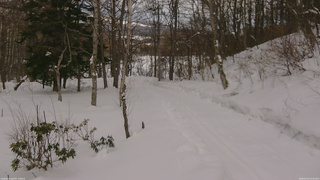 長野県菅平高原 ゆたか山荘 駐車場奥 2026/02/14 15:45
