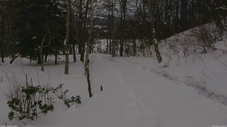 長野県菅平高原 ゆたか山荘 駐車場奥 2026/02/14 17:00