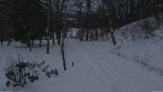 長野県菅平高原 ゆたか山荘 駐車場奥 2026/02/14 17:15