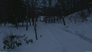 長野県菅平高原 ゆたか山荘 駐車場奥 2026/02/14 17:30