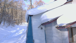 長野県菅平高原 ゆたか山荘 坂下 2026/02/14 09:00