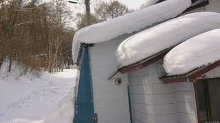 長野県菅平高原 ゆたか山荘 坂下 2026/02/14 14:00