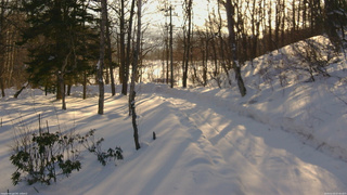 長野県菅平高原 ゆたか山荘 駐車場奥 2026/02/15 07:45