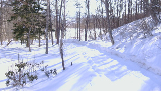 長野県菅平高原 ゆたか山荘 駐車場奥 2026/02/15 09:00