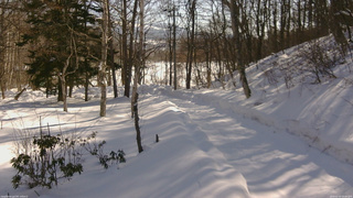 長野県菅平高原 ゆたか山荘 駐車場奥 2026/02/15 10:00
