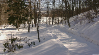 長野県菅平高原 ゆたか山荘 駐車場奥 2026/02/15 10:45